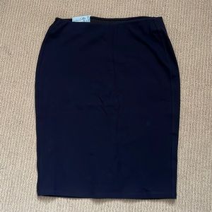 NWT Stretch skirt